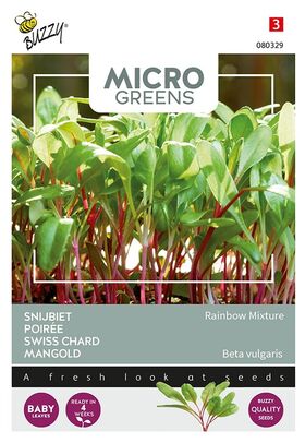 Microgreens Poirée mélange Arc-en-ciel