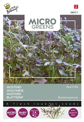 Microgreens Moutarde Red Frills