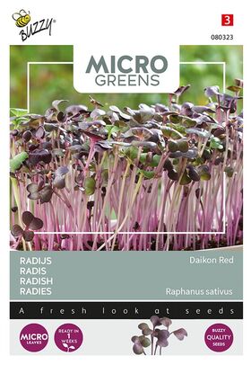 Microgreens Radis Daikon Rouge