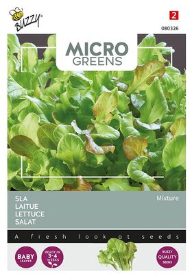 Microgreens Laitue Mélangée