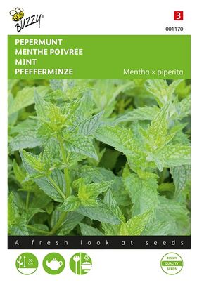 Menthe Poivrée