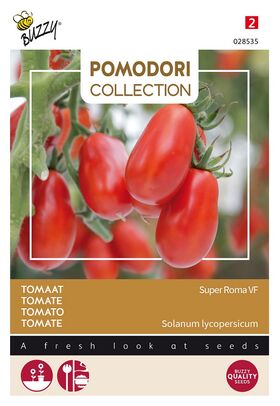 Tomate Pomodori Super Roma VF