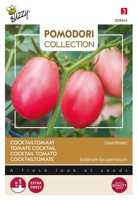 Tomate Pomodori Uovo Roseo