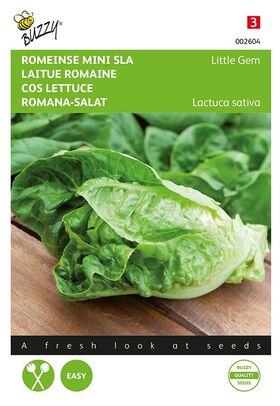 Laitue Romaine Little Gem