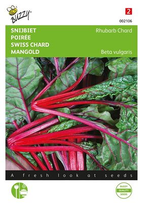 Poirée Rhubarb Chard