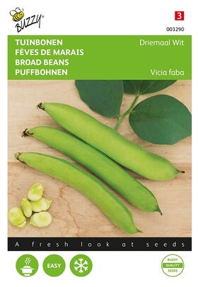 Fève De Marais Vicia Faba