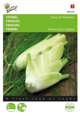 Fenouil