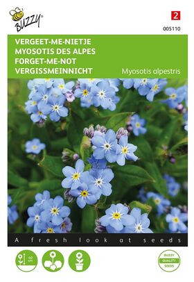 Myosotis des Alpes