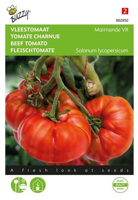 Tomate Marmande