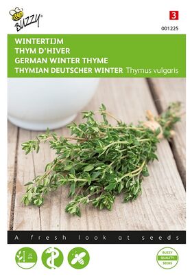 Thym D'Hiver