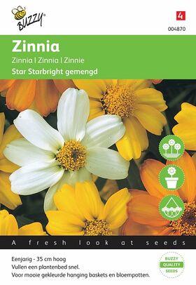 Graines Zinnia Starbright