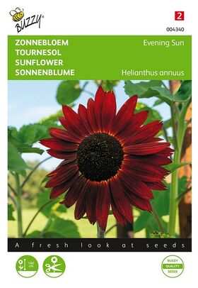 Tournesol Brun/Rouge