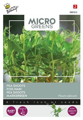 Microgreens Pois nain a germer