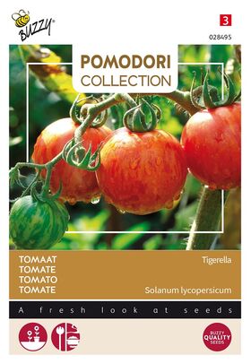 Tomate Pomodori Tigerella