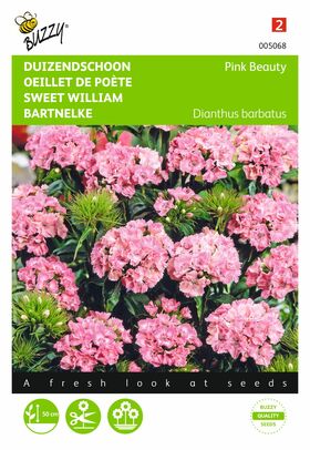 Graines de Œillet de Poète 'Pink Beauty'