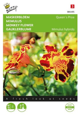 Mimulus