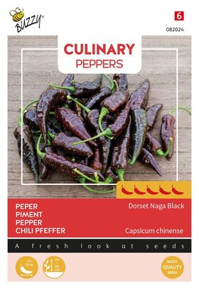 Graines de Piment 'Dorset Naga Black'