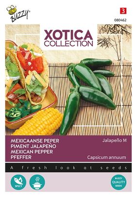 Piment Jalapeño