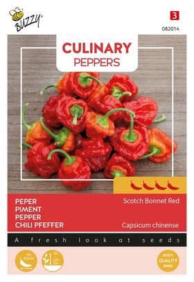 Graines de Piment 'Scotch Bonnet Red'