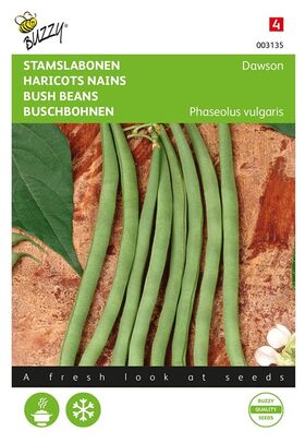 Haricots Nains 'Dawson' Haricots Nains 'Dawson'