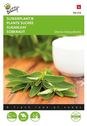 Stévia Rebaudiana / Plante Sucrée