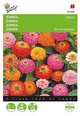 Zinnia Lilliput, Mélange