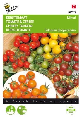 Tomates À Cerise En Mélange