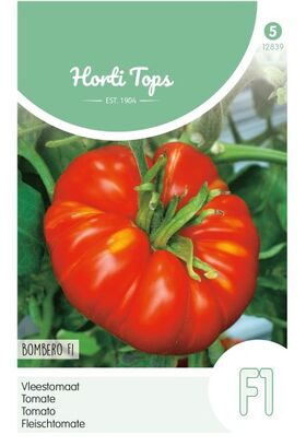 Tomate Maestro Hybride F1