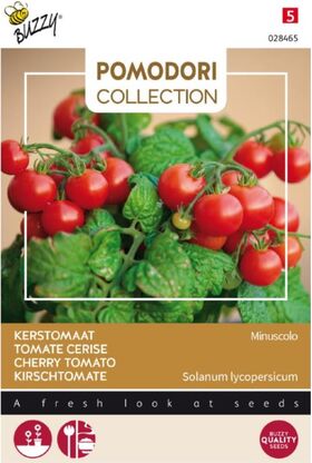 Tomate Pomodori Minuscolo