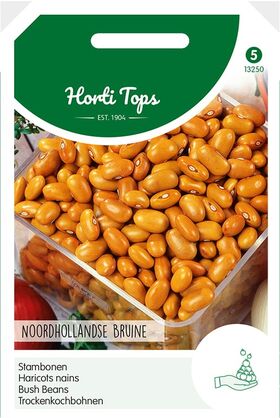 Haricots Nain Noordhollandse Brun