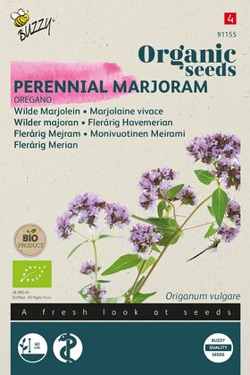 Bio Marjoleine Vivace - Oregano