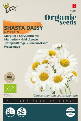 Biologische Margriet Zaden 'May Queen'