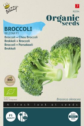 Bio Chou Broccoli Belstar F1