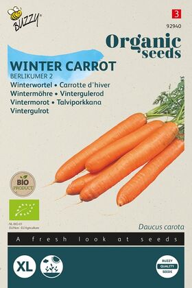 BIO Carottes d'Hiver Berlikum 2