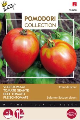 Tomate Pomodori Cuor Di Bue