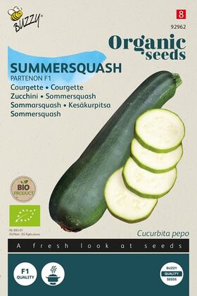 BIO Courgette Partenon Hybride F1