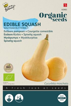 Bio Courgette Comestible Waltham Butternut