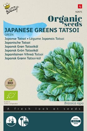 BIO Légume Japonais Tatsoi