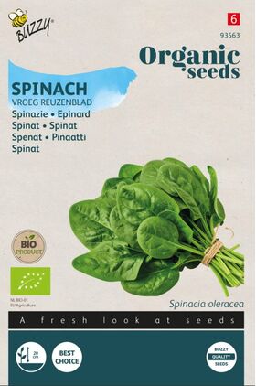 Bio Graines de Épinard 'Grandes Feuilles Précoces'