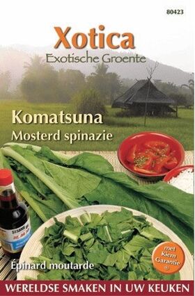 Épinard moutarde Komatsuna