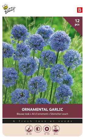 Allium Blauwe Look Sierui bollen 12 st.