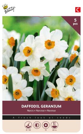 Narcissen Bollen Geranium 5 st.