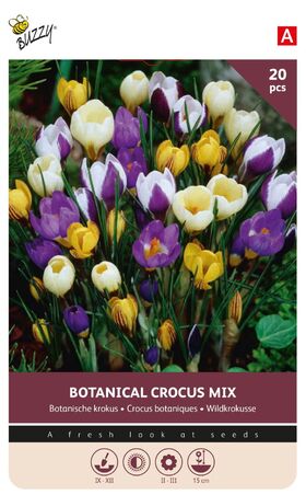 Crocus Bulbes à Fleurs Botanical Mixture