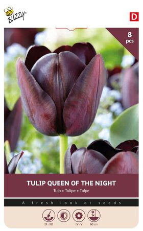 Tulipe Cottage Queen Of Night