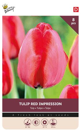 Tulpen Bloembollen Red Impression