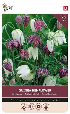 Fritillaire Damier Meleagris