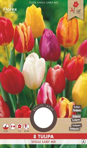 Tulpen bloembollen Single Mix